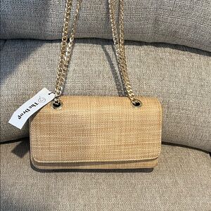 The Drop Beige Woven Shoulder Bag with Gold Chain